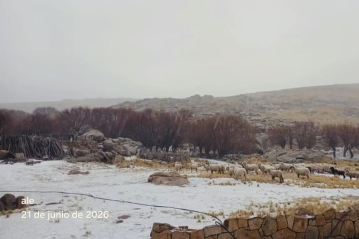 La nieve embellece las Sierras de Córdoba en el inicio del invierno