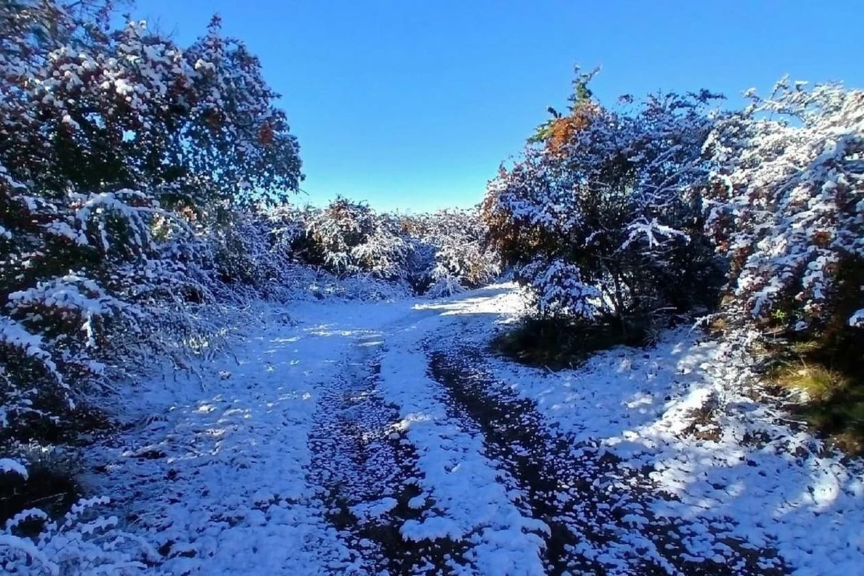 Nevadas en las Sierras de Córdoba: un paisaje invernal que cautiva