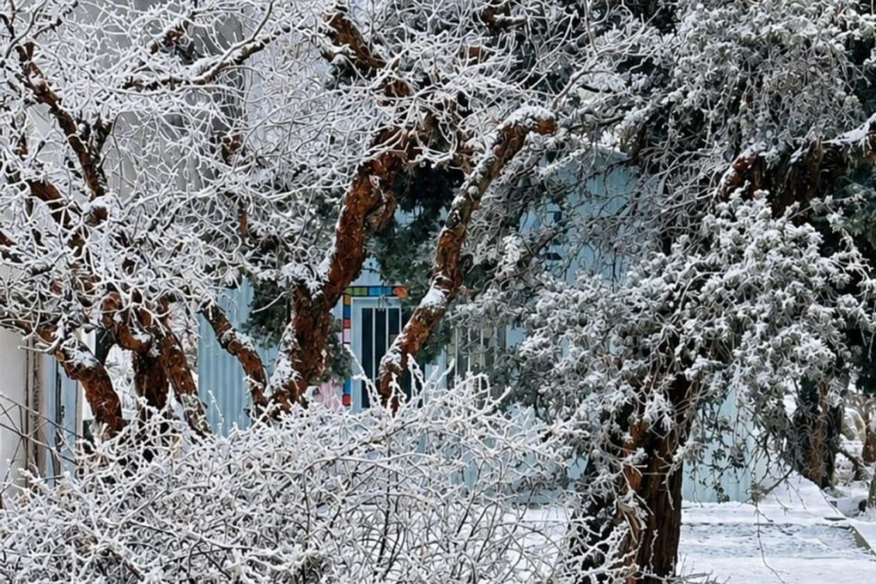 Ola polar en Córdoba: frío extremo y nevadas en el Valle de Punilla