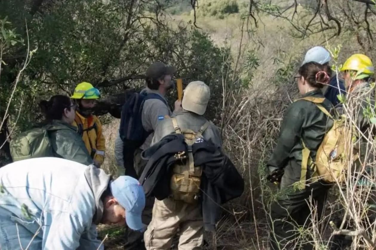 Controlan avance de planta exótica en Reserva Vaquerías