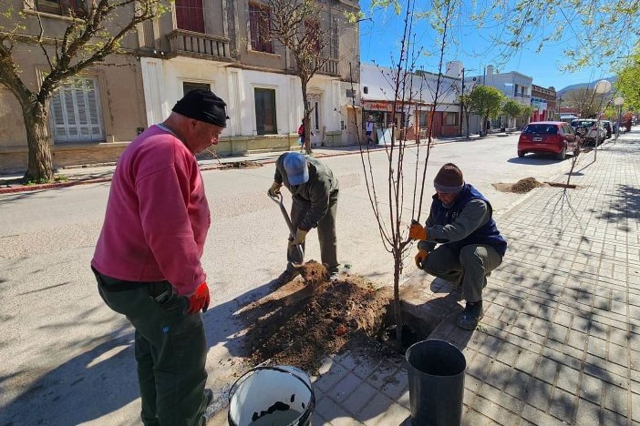 Capilla del Monte impulsa la plantación de más de 100 almendros