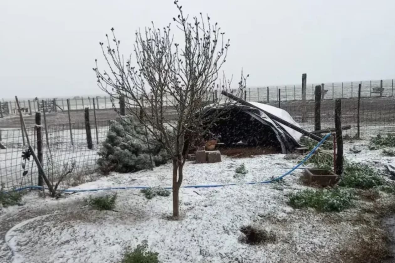 La nieve cubrió sorpresivamente Córdoba y debieron cerrar el Camino de las Altas Cumbres