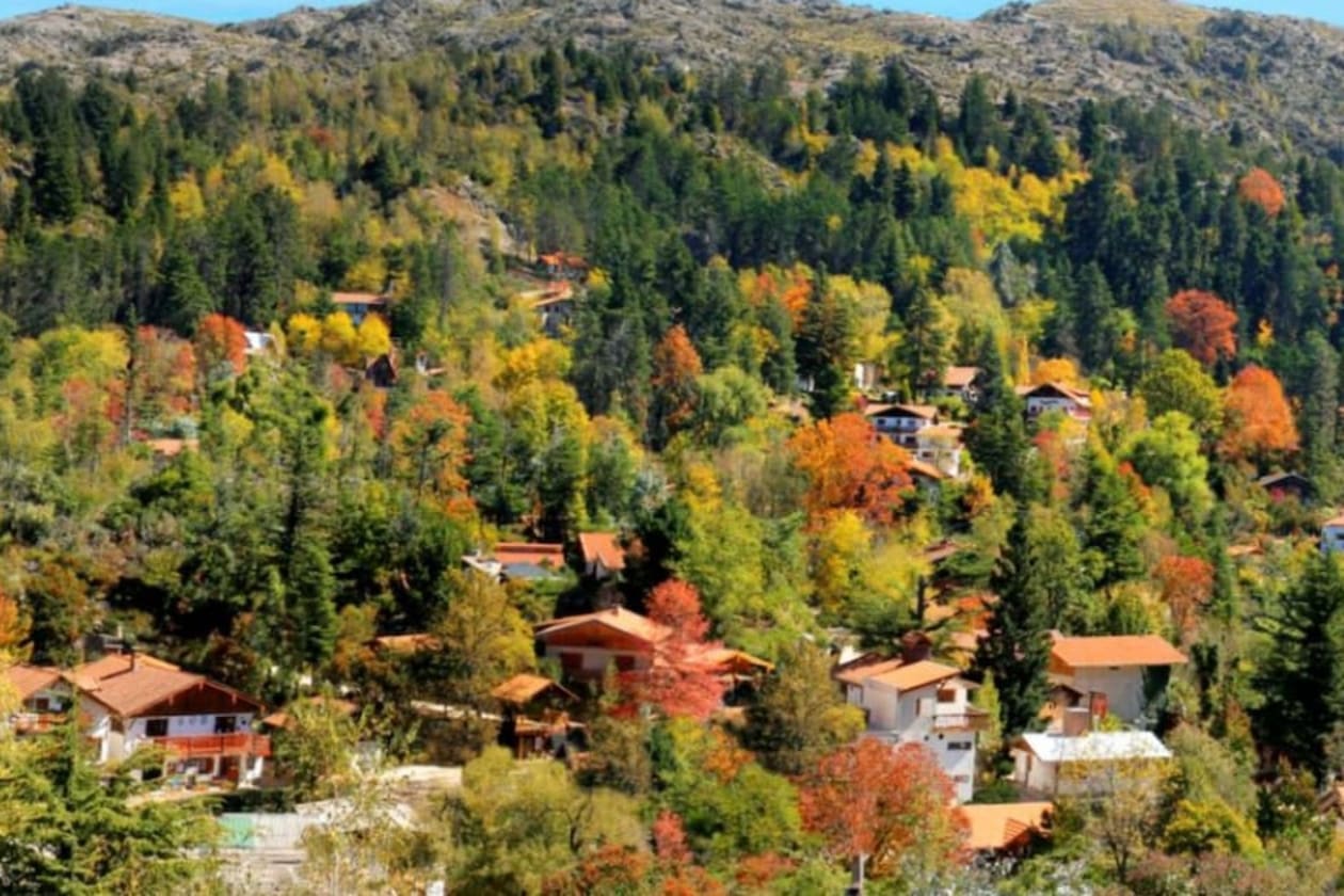 Ni Bariloche ni Europa: la reserva natural escondida en las sierras de Córdoba con bosques de pino, cascadas y cerveza artesanal