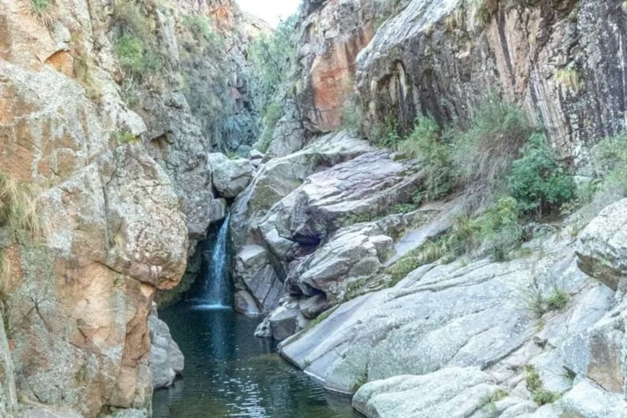 Avistan raro coipo leucístico en las Altas Cumbres