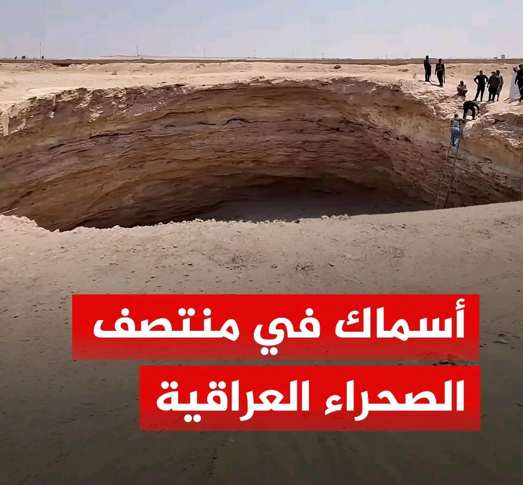 اكتشاف مذهل في صحراء الأنبار: خسفة جيولوجية تقود إلى نهر جوفي وأسماك عمياء نادرة