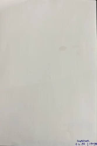 PE Coated Cup Stock Roll image 1