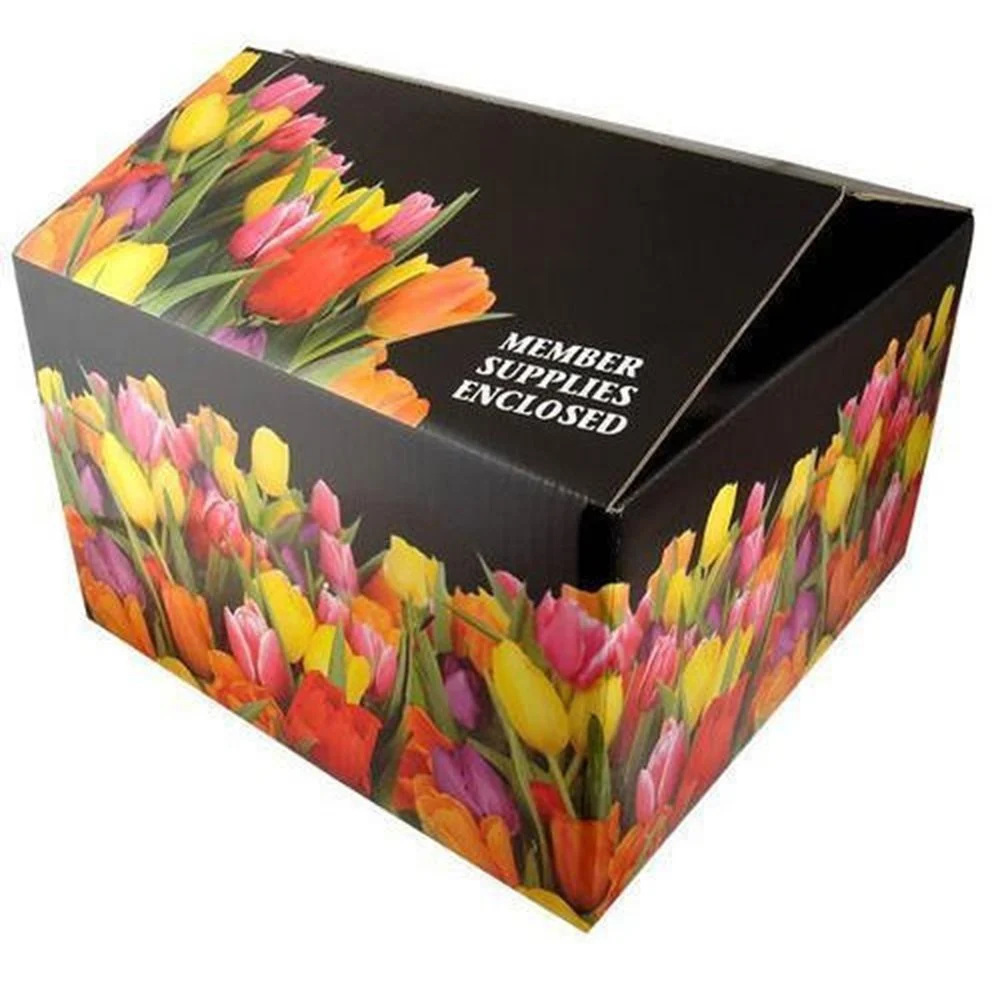 Multi Color Printing Duplex Corrugated Carton Boxes