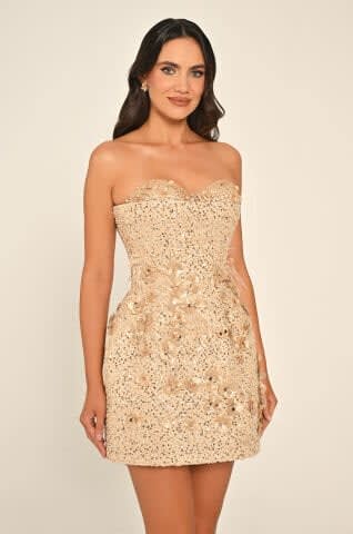 Lace Tie Ruffle Mini Dress