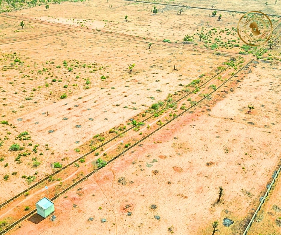 Project image 6