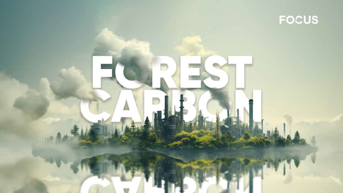 Forest Carbon Literacy 2026 - ID