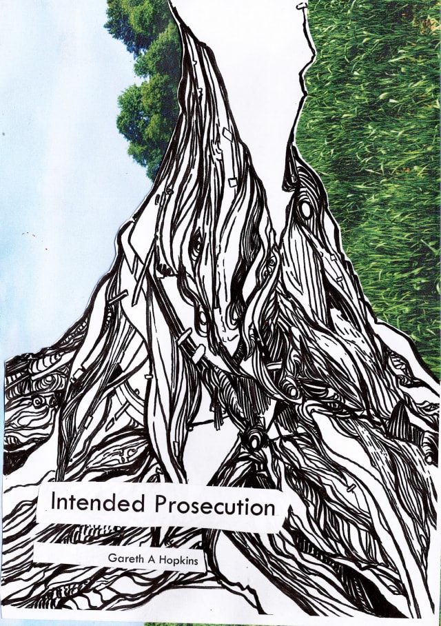 Intended Prosecution
