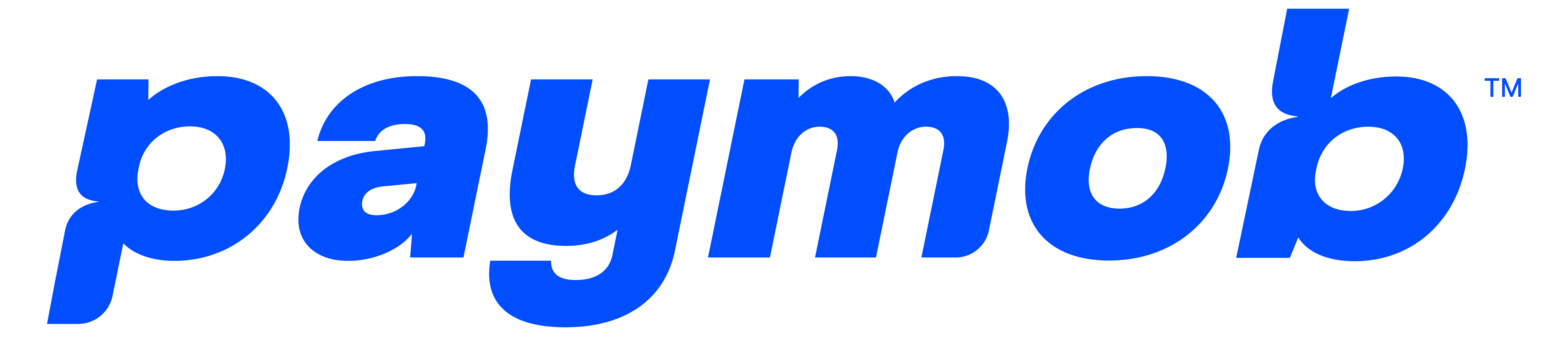 Paymob Logo