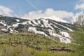 Views of Snowmass