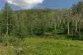 Colorado Vacant Land GMU 421 For Sale We