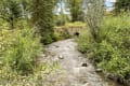 creek off back deck