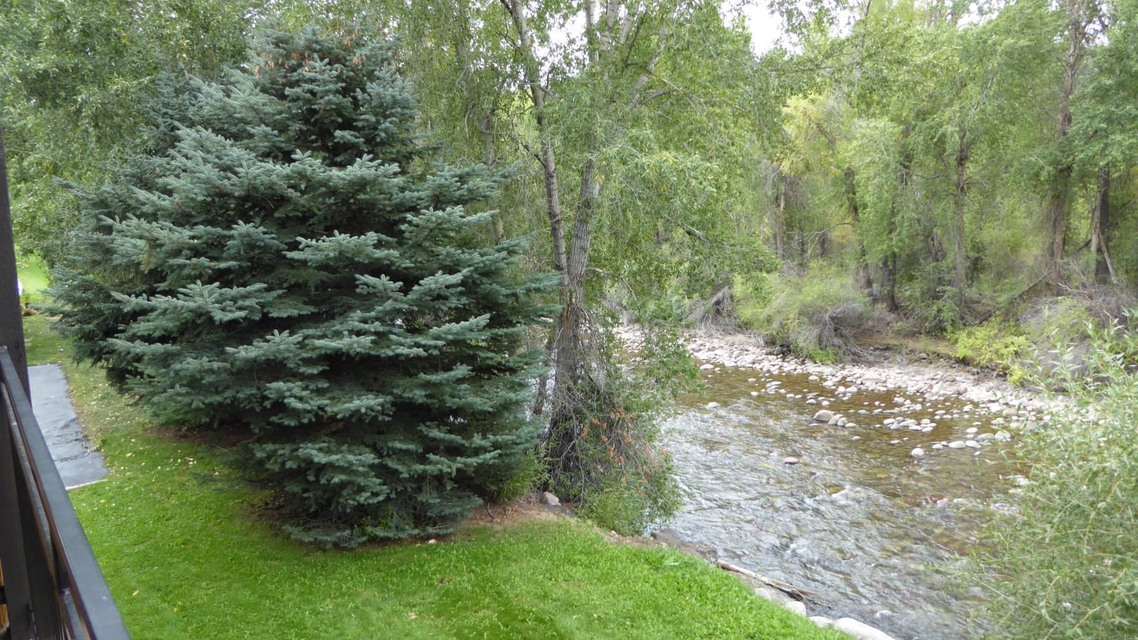 View from Balcony