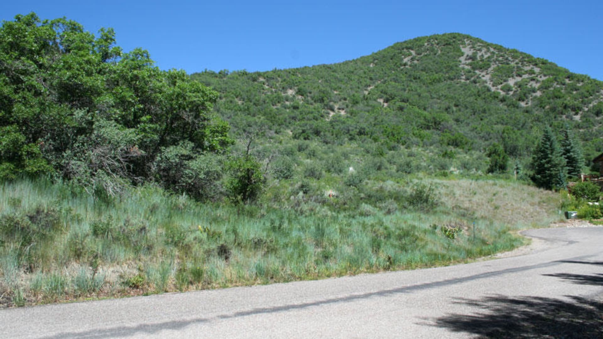 View up Access Easement