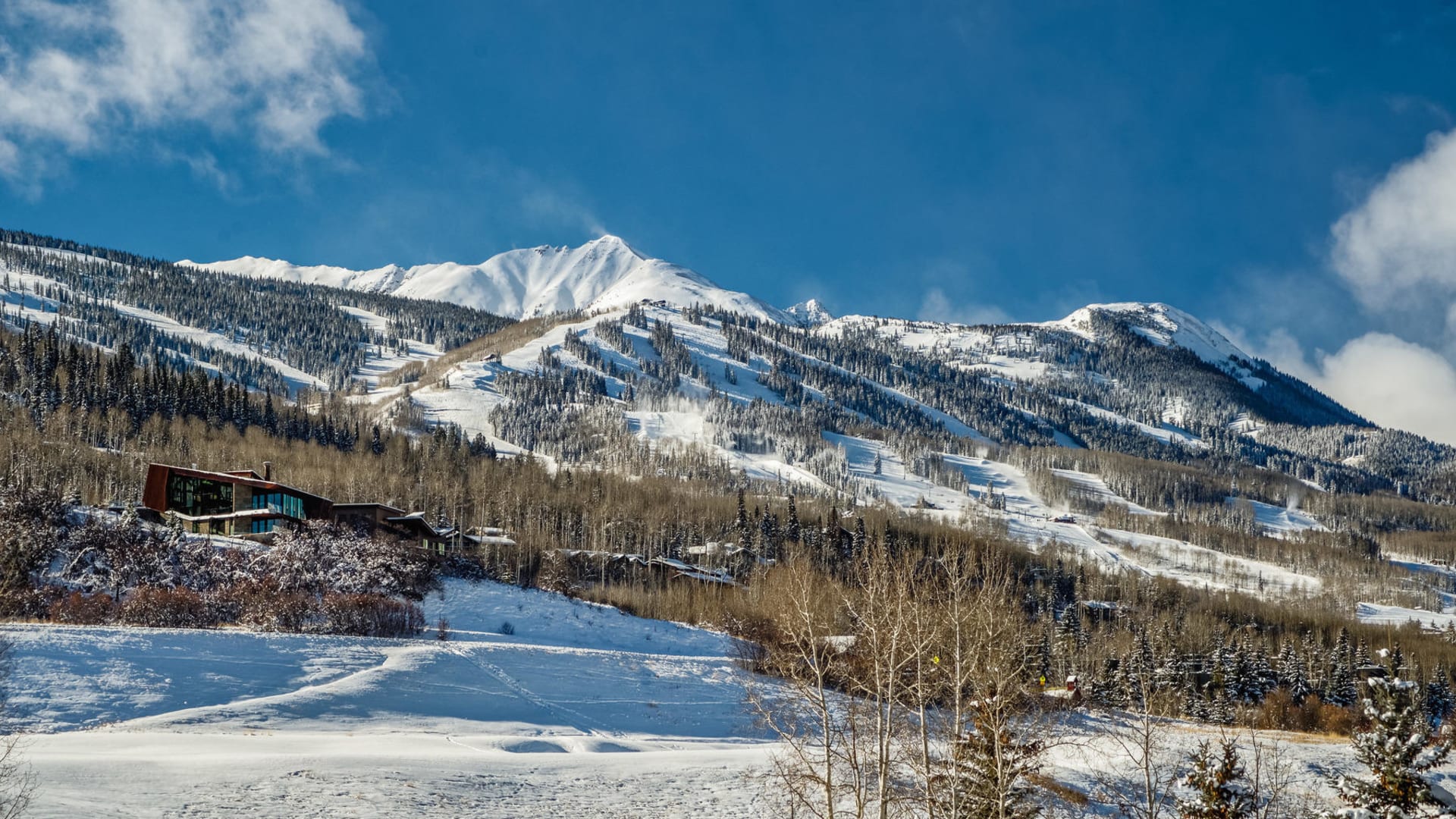 Winter view from deck