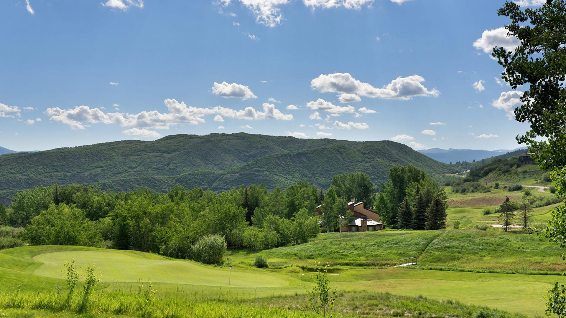 Snowmass Views