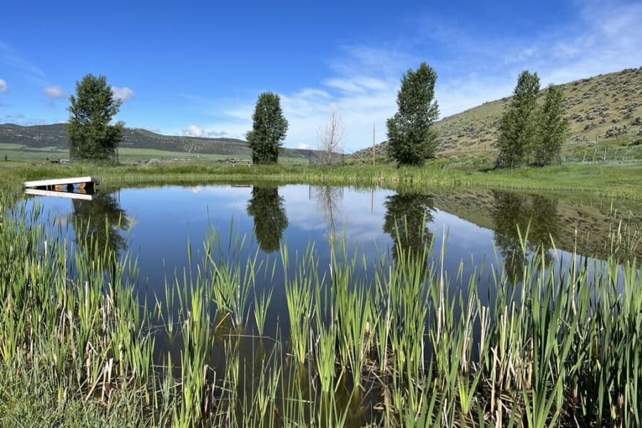 Pond Area