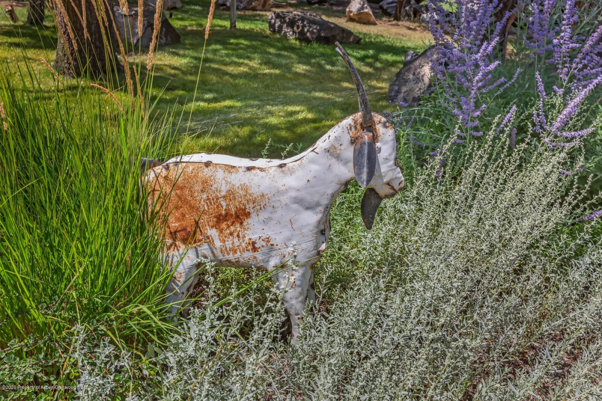 Pinyon Point Ranch Grounds