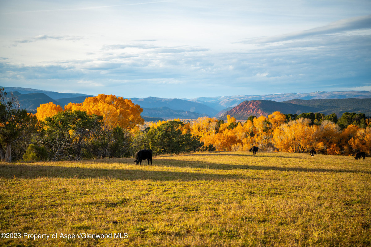 Fall downvalley view