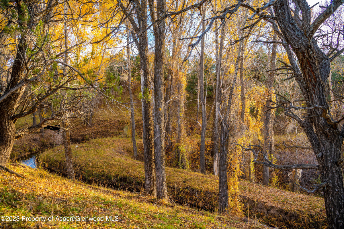 Fall colors