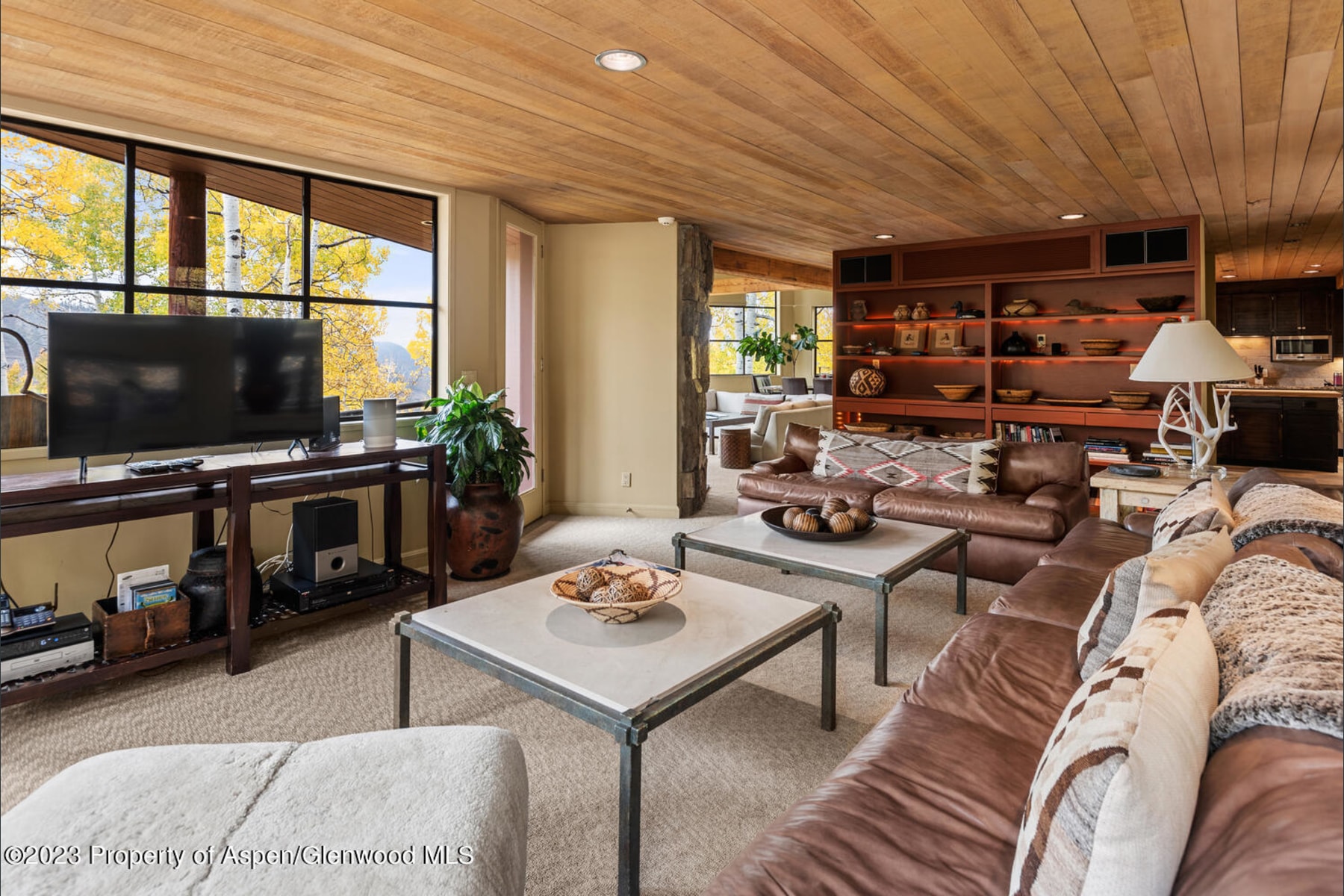 431 Edgewood Ln Snowmass-large-030-025-4