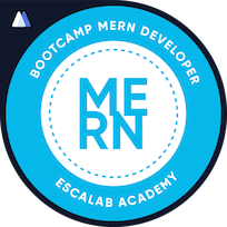 MERN Developer