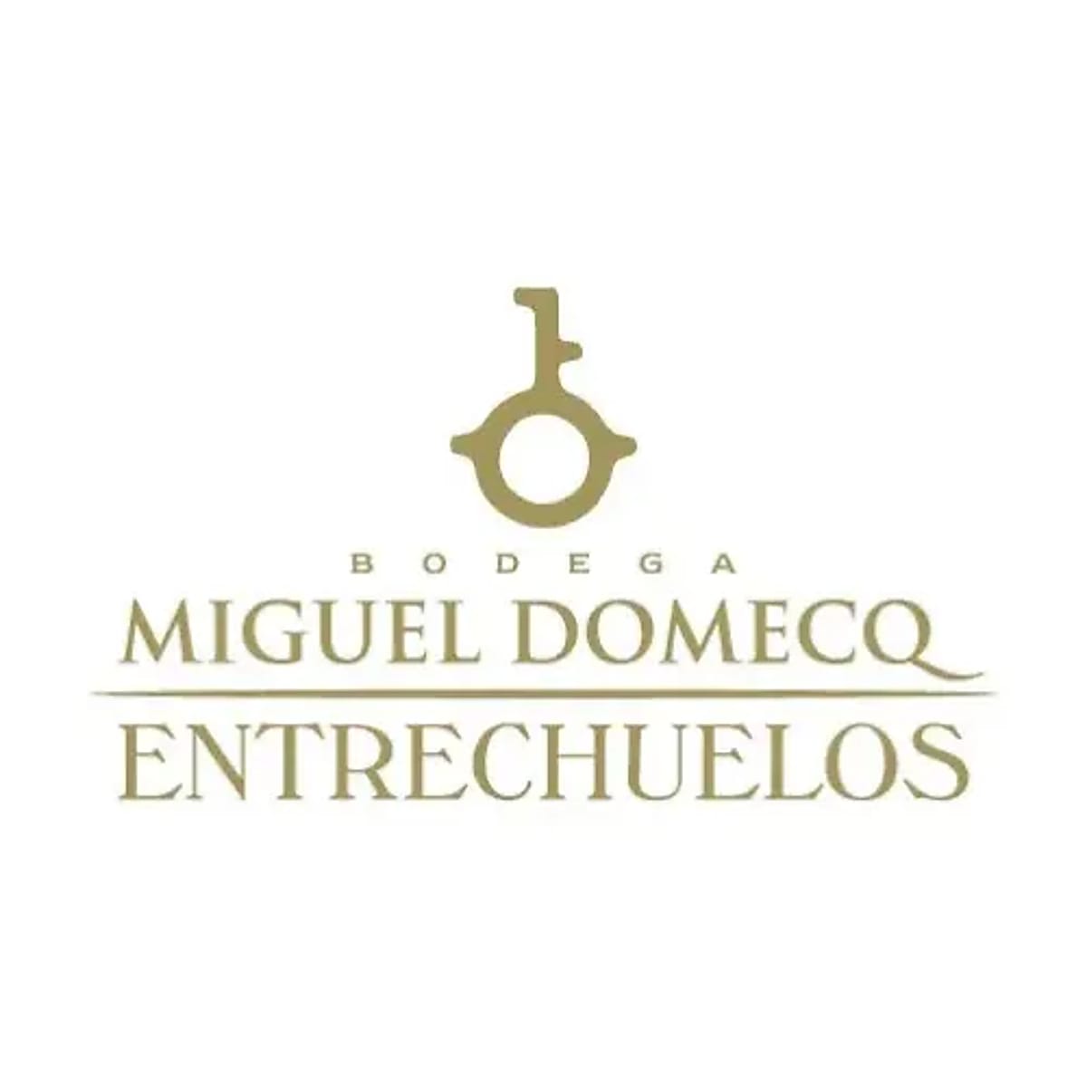 Miguel Domecq