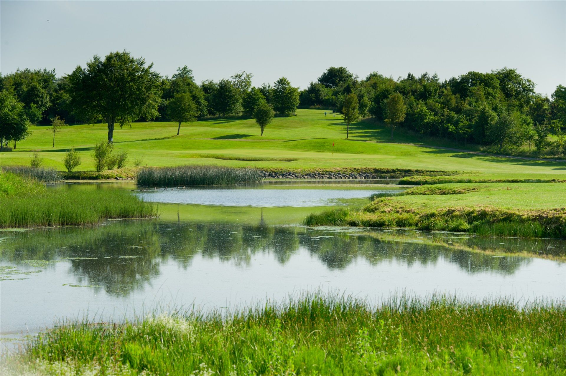 Woodstock Golf Club golf course