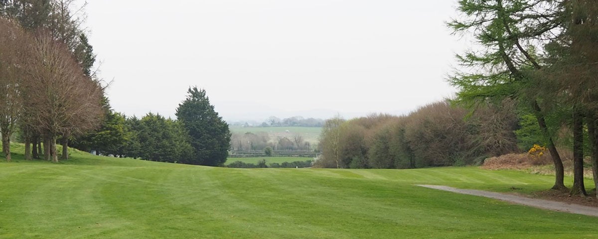 Nenagh Golf Club golf course