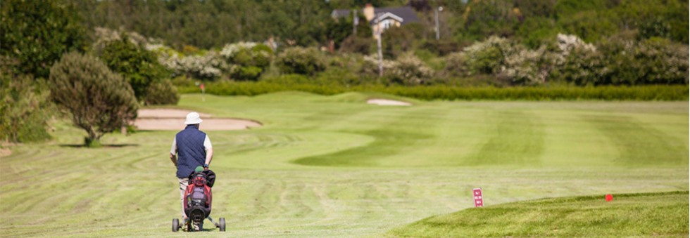 Williamstown Golf Club golf course
