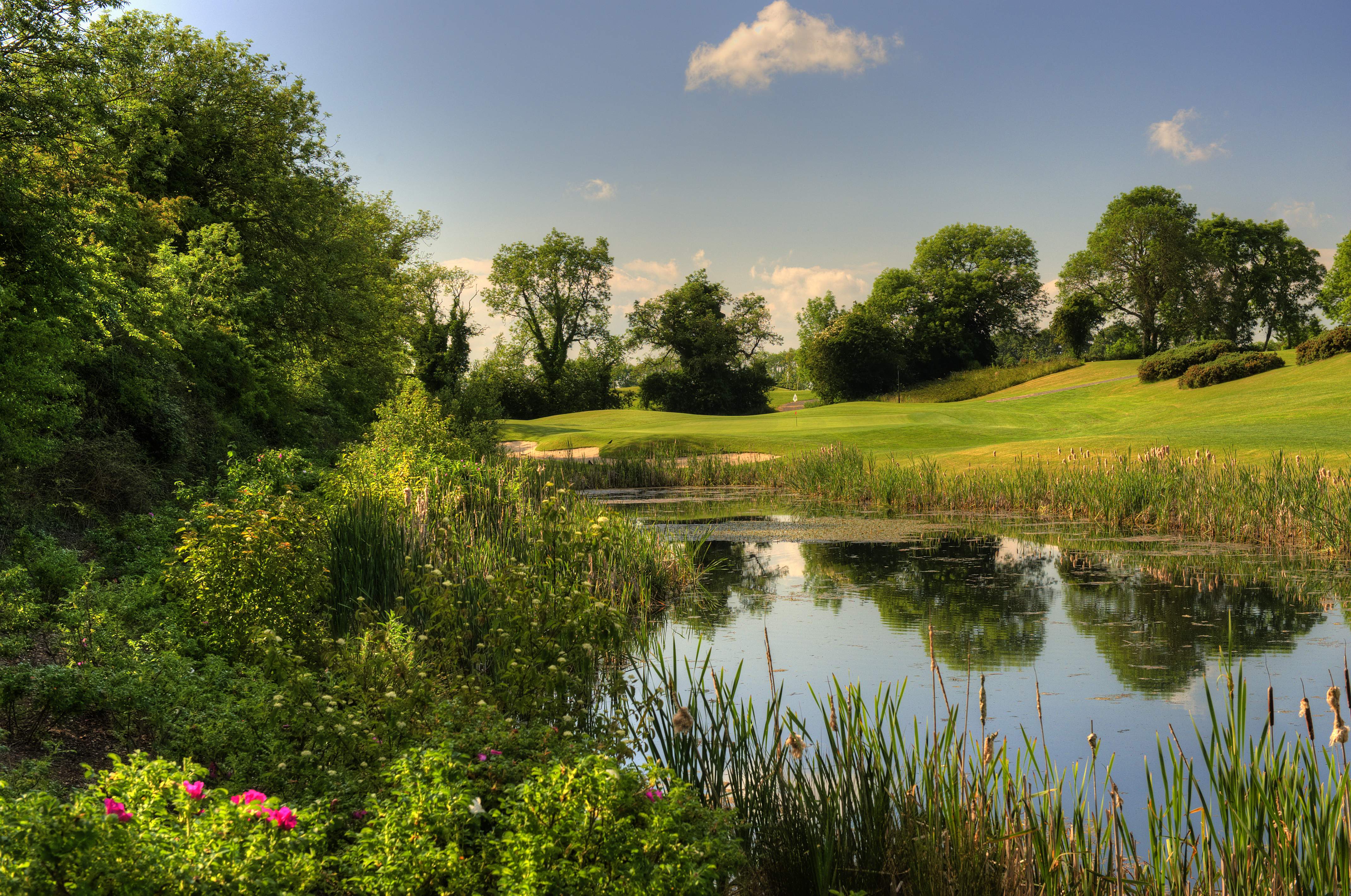 Carlow Golf Club golf course