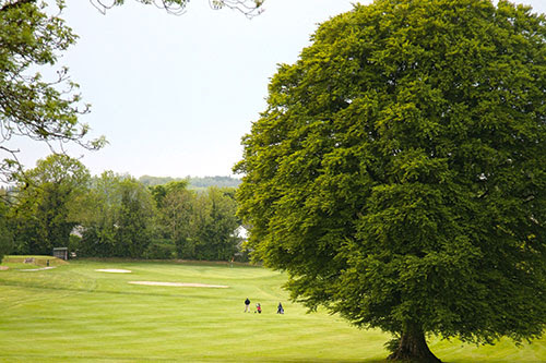 County Cavan Golf Club golf course
