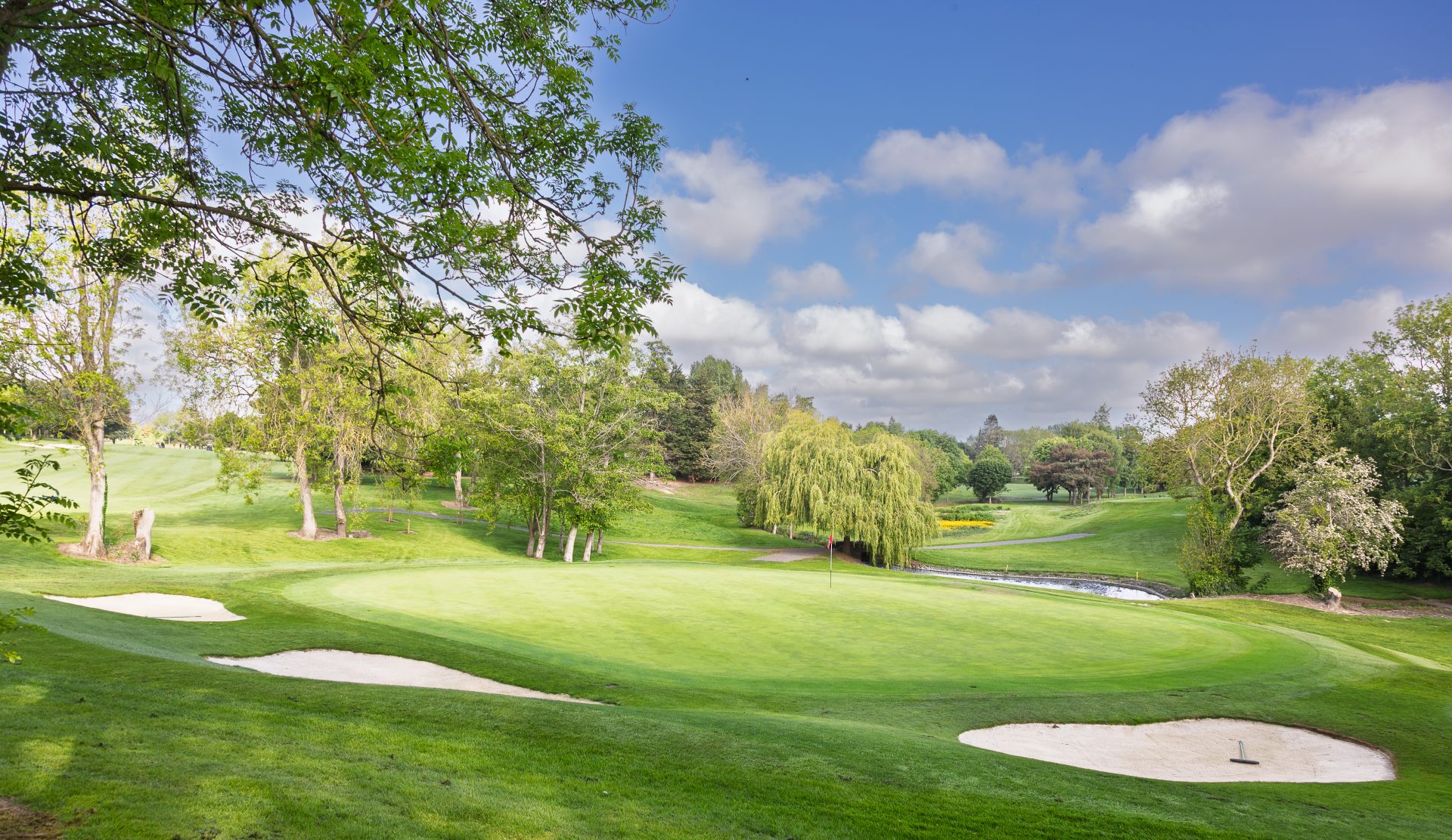 Forrest Little Golf Club golf course