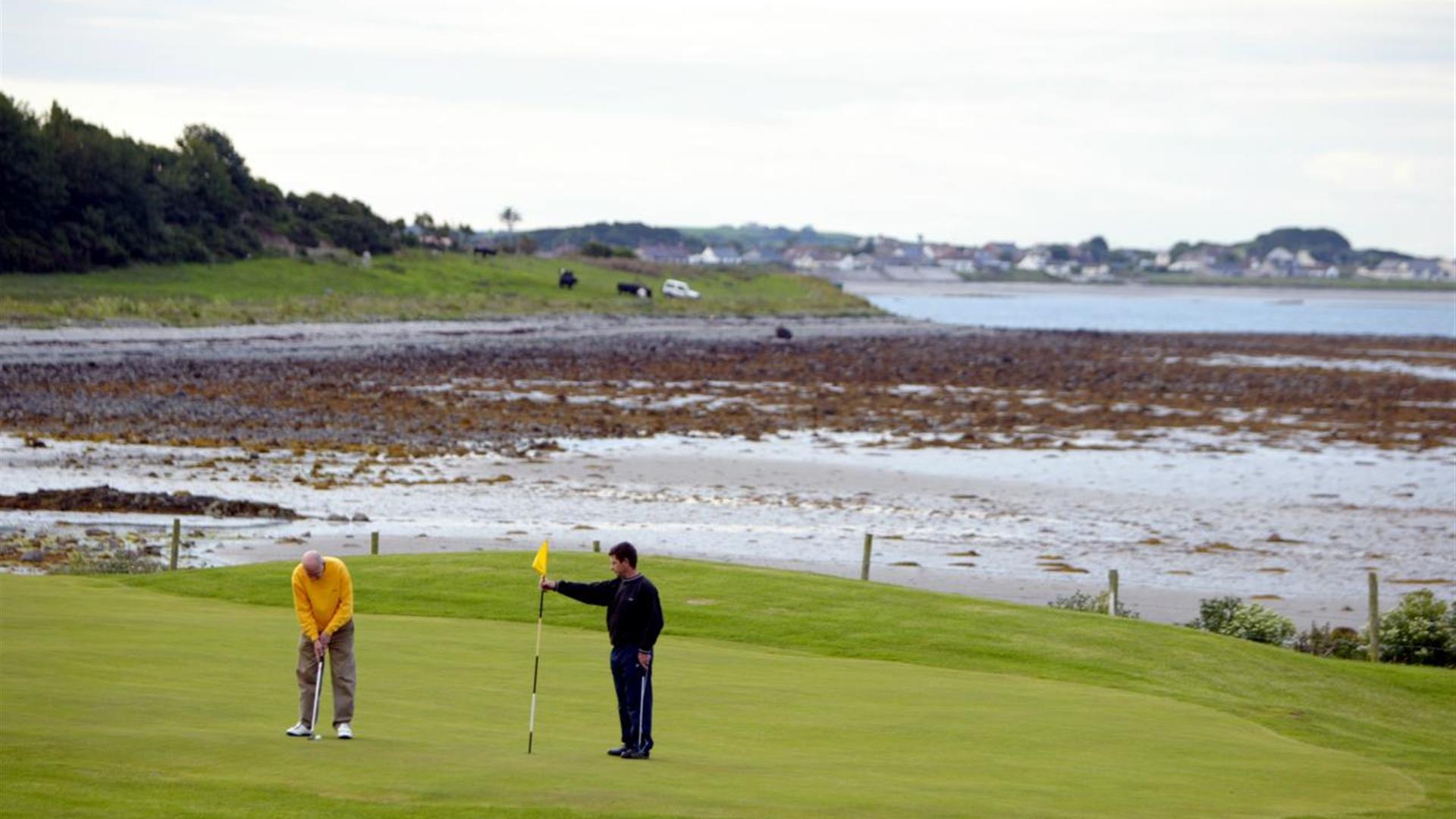Ardminnan Golf Club golf course
