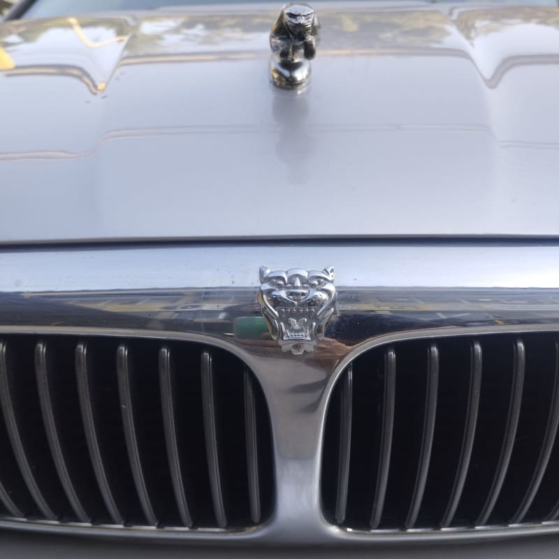 00a6106c 27ad 4b1f 87f7 dface69ce5fd_zdrrox