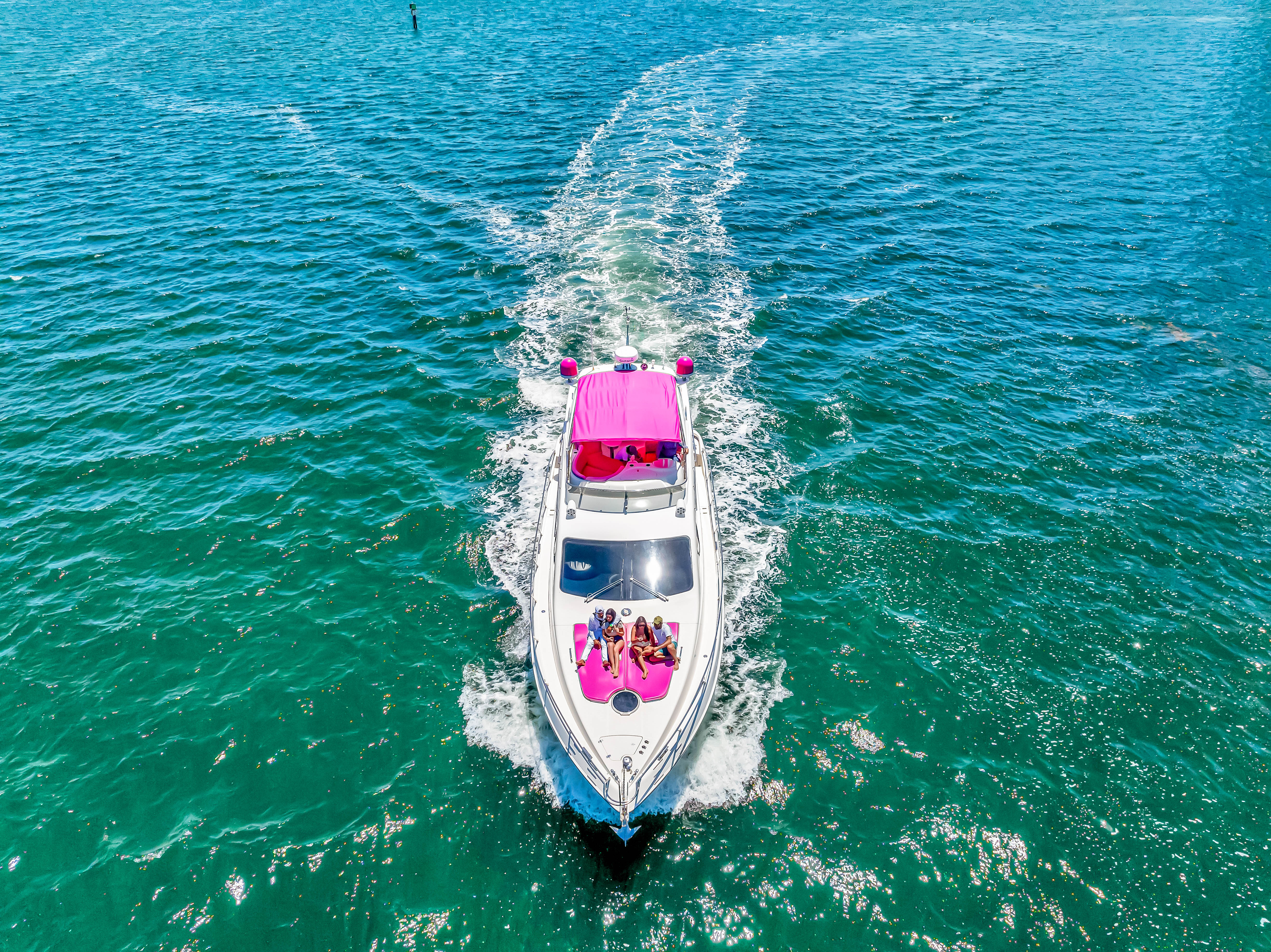 Pink Panther — photo 2