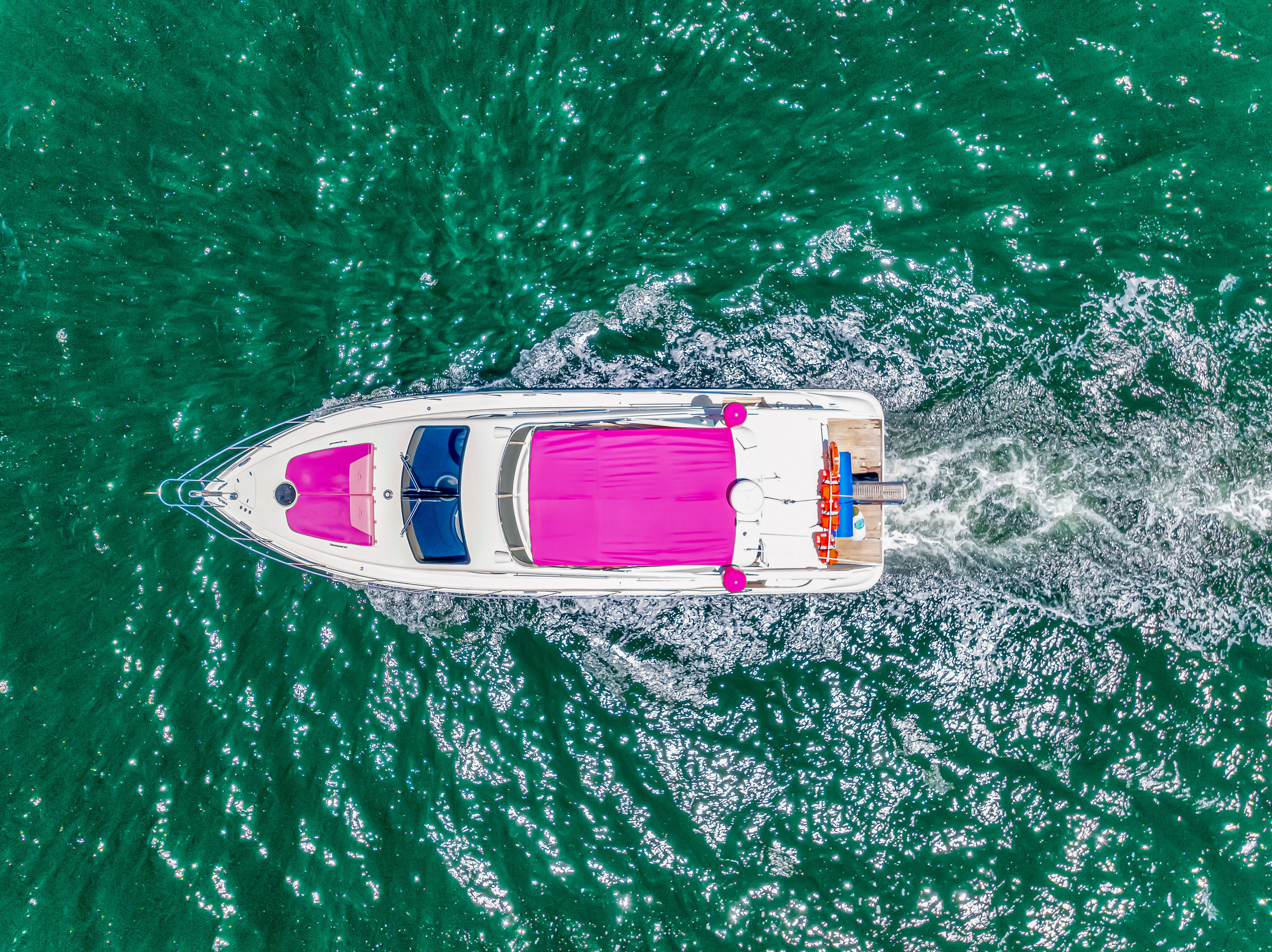 Pink Panther — photo 4