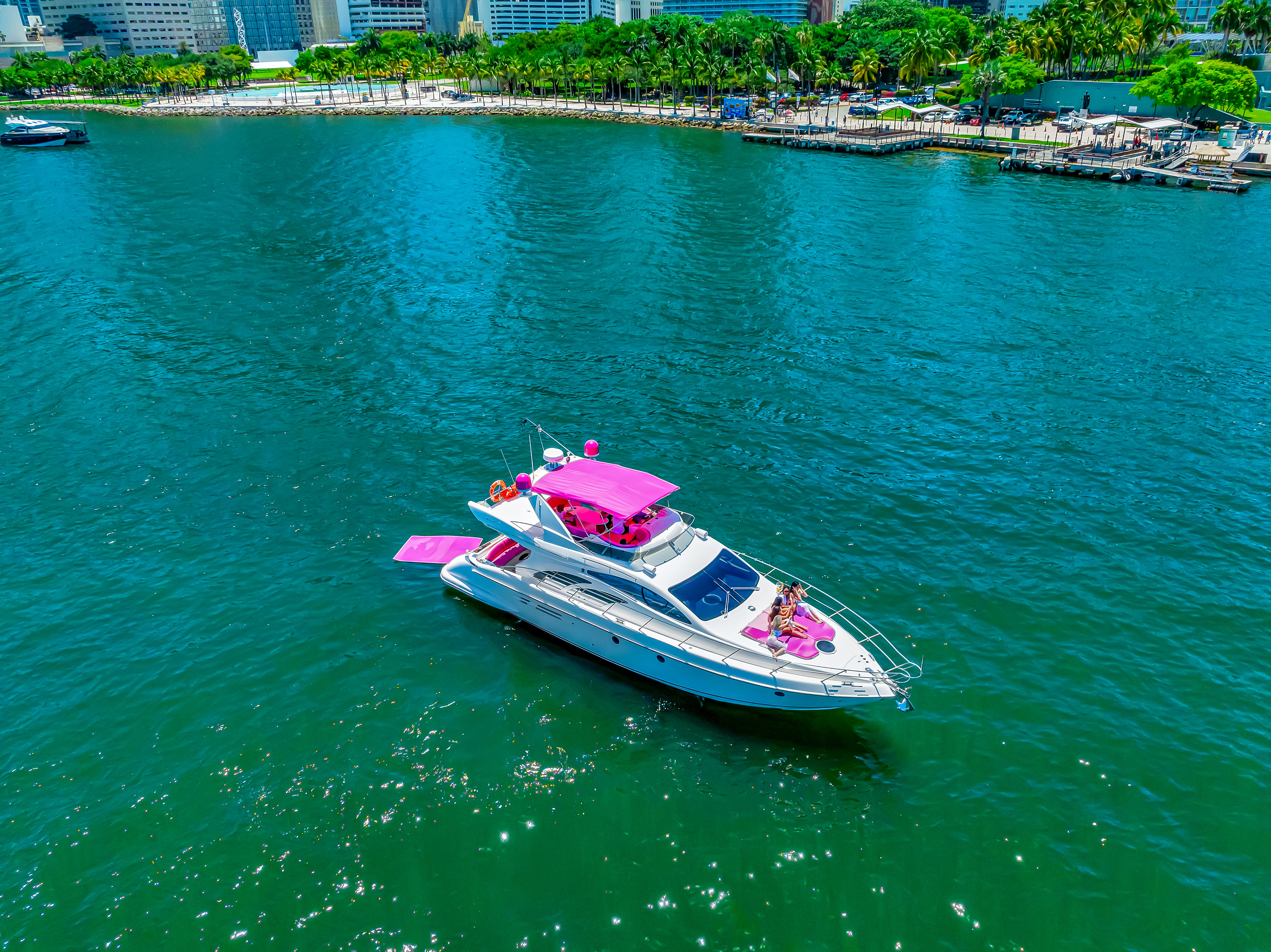 Pink Panther — photo 5