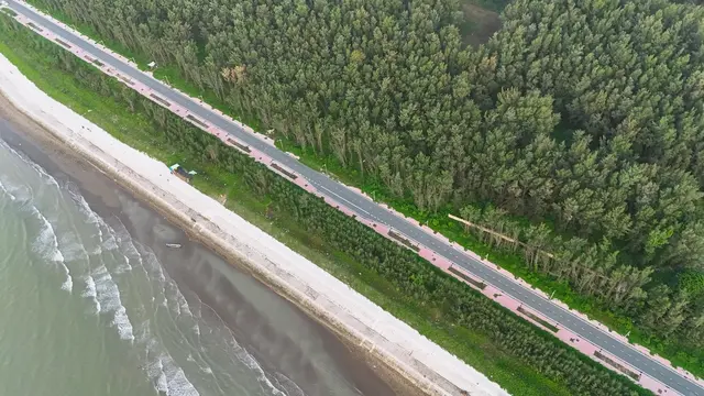 Dự án cầu Cổ Chiên 2