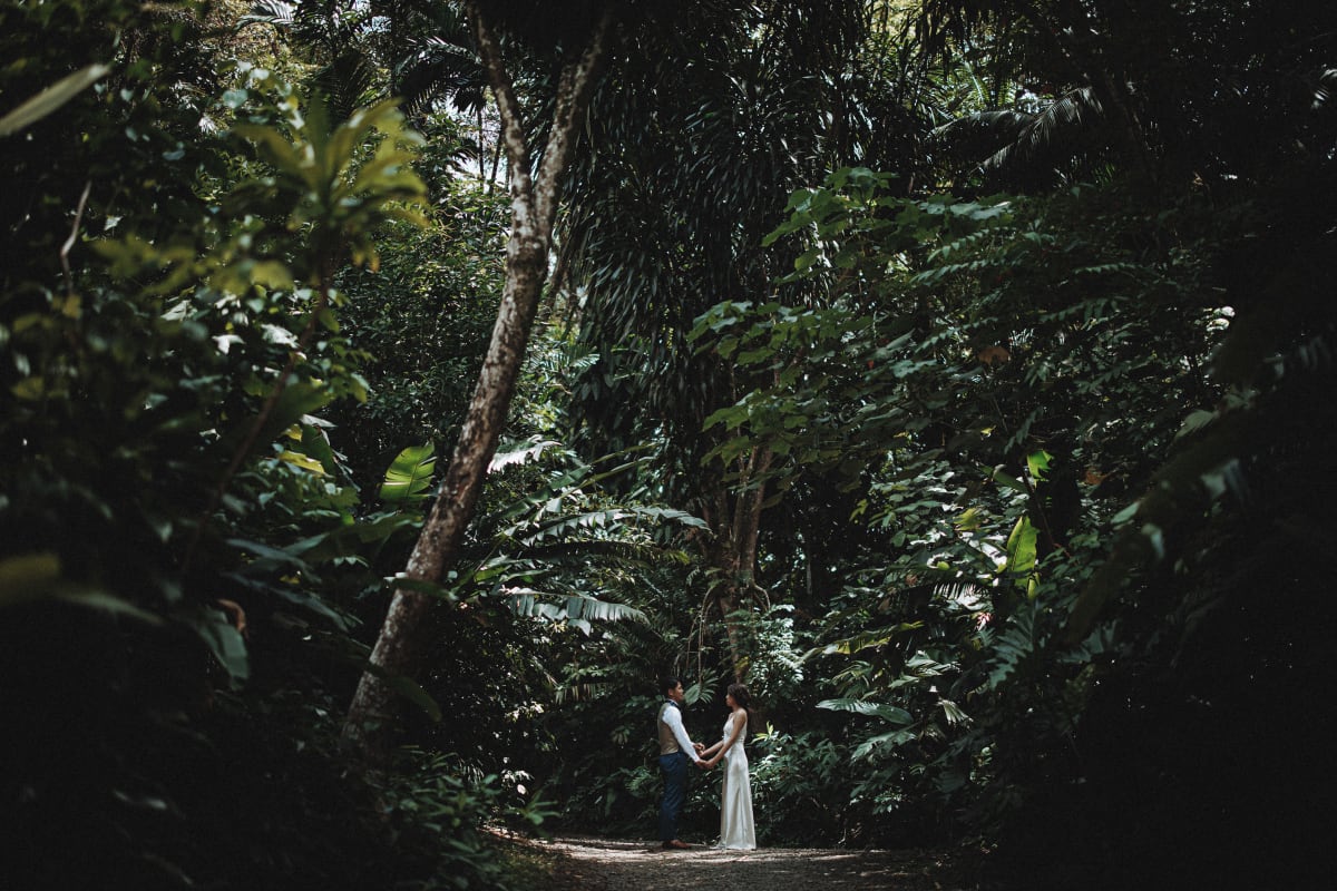 Hawaii Elopement vs. Full Wedding: Which Experience Fits You?