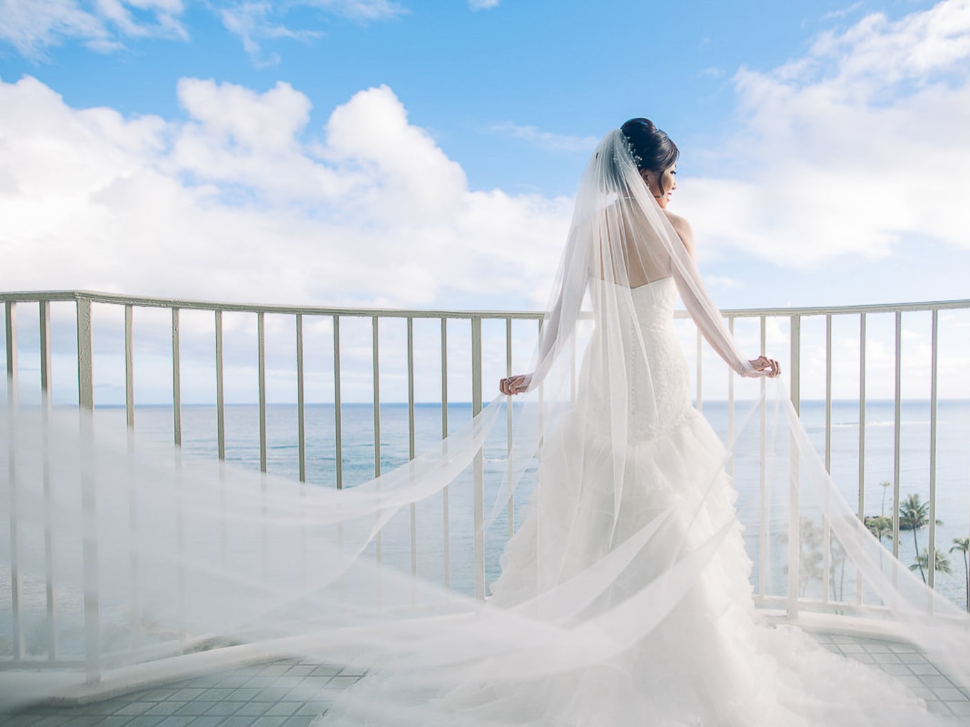 Big Island Wedding Photography: Lava Fields, Rainforests & the Kohala Coast