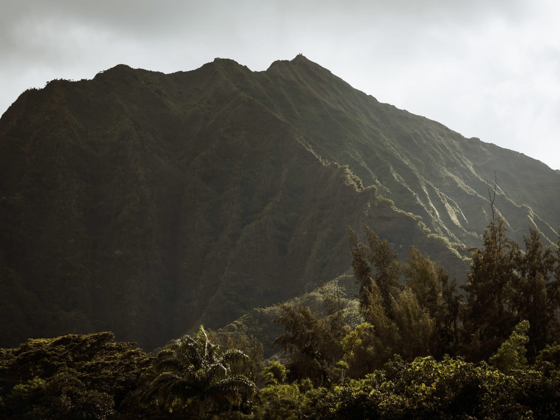 Hawaii wedding photography at Haiku Gardens & Moana Surfrider by Visionari