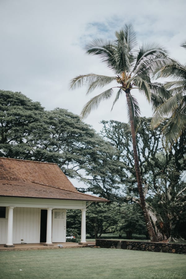 Hawaii wedding photography at Dillingham Ranch by Visionari