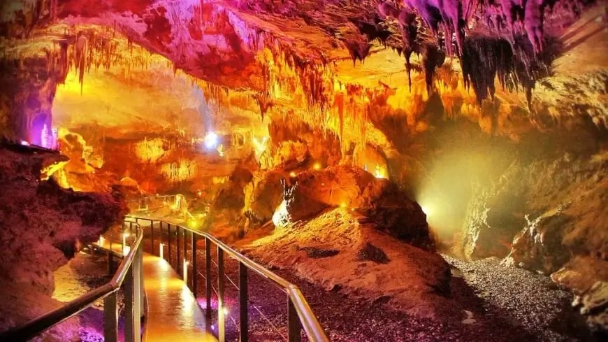 Multi Day Tours (4+ days)