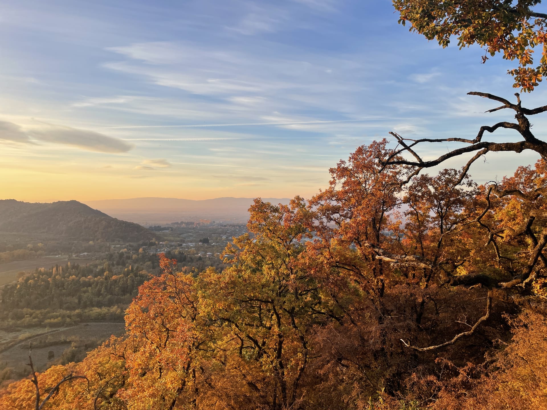 Georgia Landscape