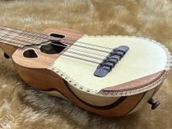 Charango Premium vista 1
