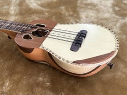 Ronroco Premium vista 1